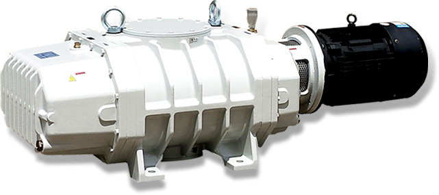 Roots Vacuum Pumps